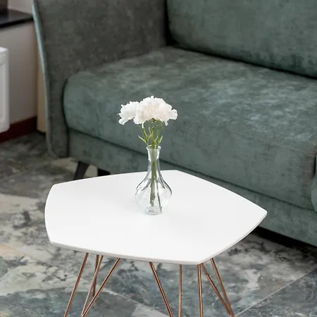 Stylowe Apartmenty Z Parkingiem W Cenie W Gdansku Centrum By Renters Apartamento *